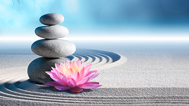 spa image rock and flower in the sand